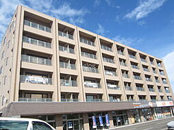 3 / 18