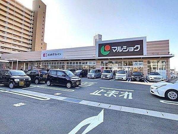 画像13:マルショク東駅店(935m)