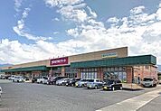 ゆめマート川棚(1、400m)