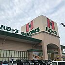 ハローズ観音寺店 1021m