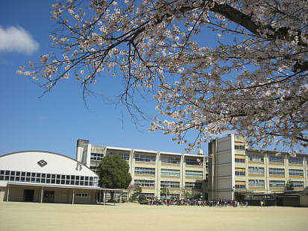 画像18:福知山市立大正小学校（1194m）