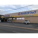ドラックストア「アメリカンドラッグ丹波島店まで973ｍ」