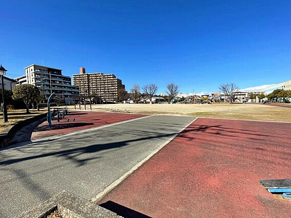 朝日中央公園　...
