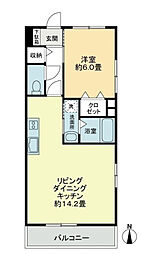 エバーグリーン