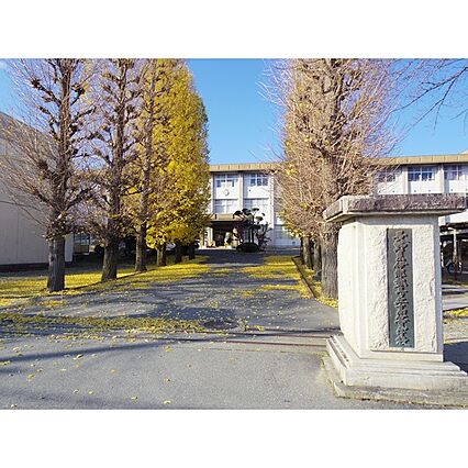 コーポ雲雀ヶ丘AB_周辺_2