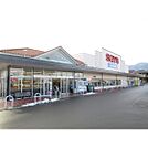 スーパー「西友箕輪店まで248ｍ」