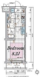 メインステージ板橋蓮根II 4階1Kの間取り