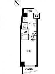 スカイコート目白台 6階/-