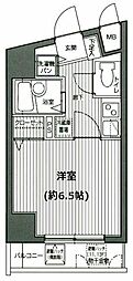 グランド・ガーラ渋谷 8階/-