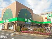 サミットストア 府中若松店（725m）