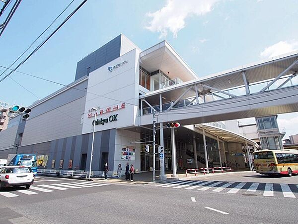 周辺を拡大表示