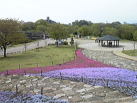 相模三川公園1442m