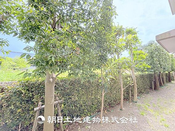 【現地眺望写真...