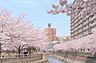 周辺：【北部公園】　市営の体育館やプール、テニスコートやジムなどの施設が隣接された公園です。小川が流れていて風流があります。