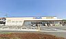 周辺：【クリエイト　伊勢原坪ノ内店】　駐車場も広くアクセスが良いです。店内も広いです。薬だけではなく日用品まで幅広く揃っていて便利です。.