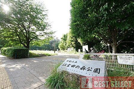 江古田の森公園まで徒歩19分 1470m