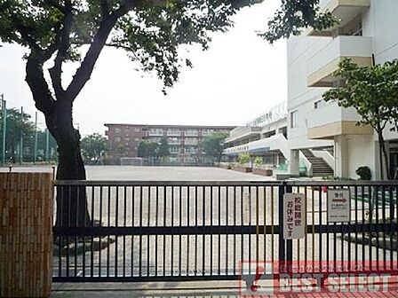 練馬区立練馬第三小学校まで徒歩5分 360m