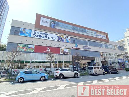 ピーコックストア上池袋店まで徒歩4分 260m