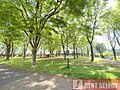 尾竹橋公園　徒...