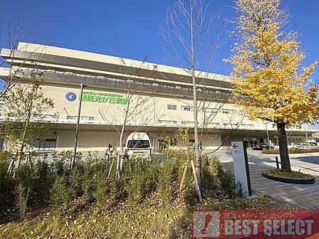 公益社団法人地域医療振興協会練馬光が丘病院まで徒歩14分 1050m