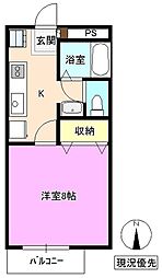 ベルフラウァ咲
