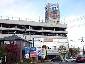 フレグランスしん　Ｇ棟  ｜ 長野県長野市吉田４丁目（賃貸アパート1K・1階・24.71㎡） その16