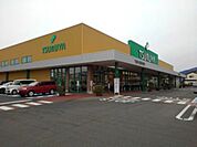 スーパー「ツルヤ長野中央店まで500m」