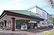 ピーコックストア 東小金井店（469m）