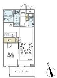 カールスルーエ吉祥寺 2階1LDKの間取り