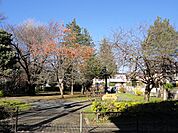 井の頭公園（10m）