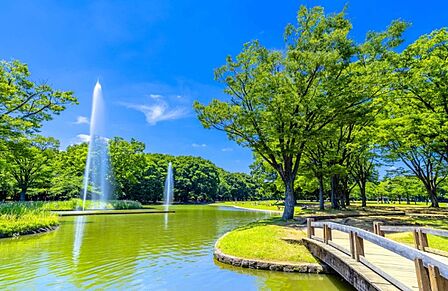 代々木公園