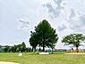 その他：高井戸公園まで徒歩15分