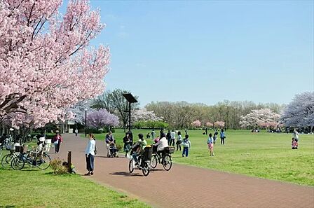 東村山中央公園