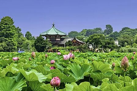 上野恩賜公園