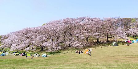 根岸森林公園