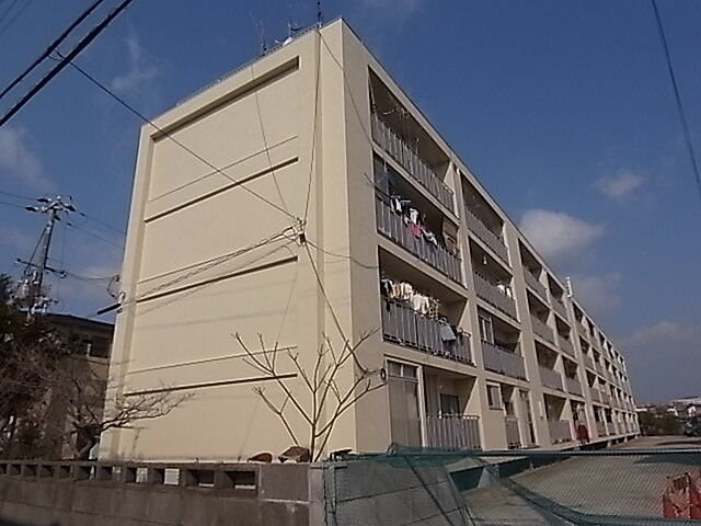 3 / 18