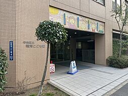 【その他】中央区立晴海こども園まで223ｍ