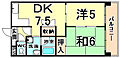 サンライフ若草4階6.5万円