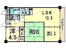 メゾン・プロムナード 3LDKの間取図画像