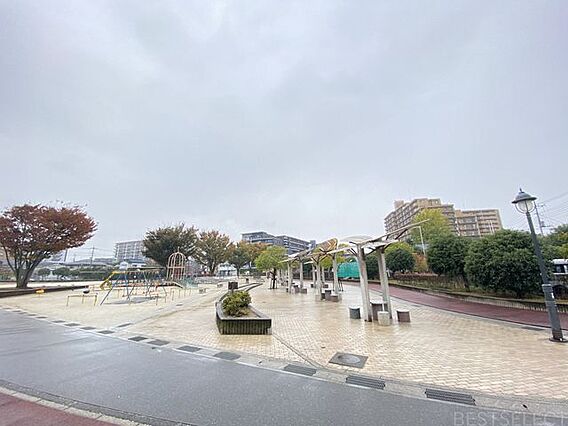 朝日中央公園 ...