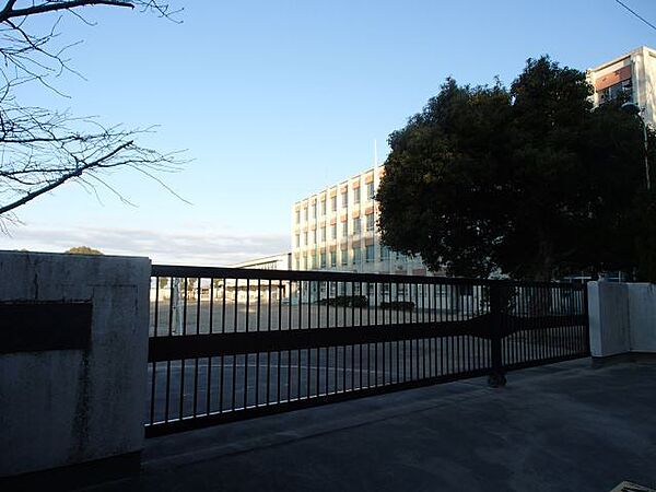 画像24:小学校「名古屋市立鳴子小学校まで358m」