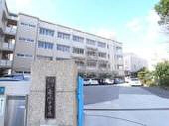 画像19:神戸市立垂水中学校（602m）