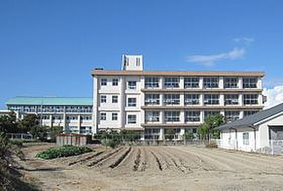 画像18:明石市立藤江小学校（1789m）