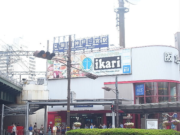 画像16:ikari（195m）