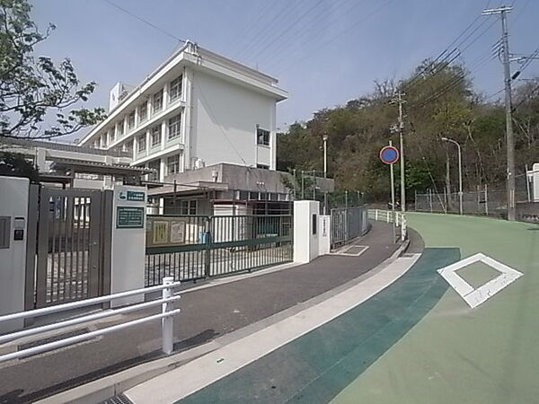 画像19:神戸市立渦が森小学校（302m）