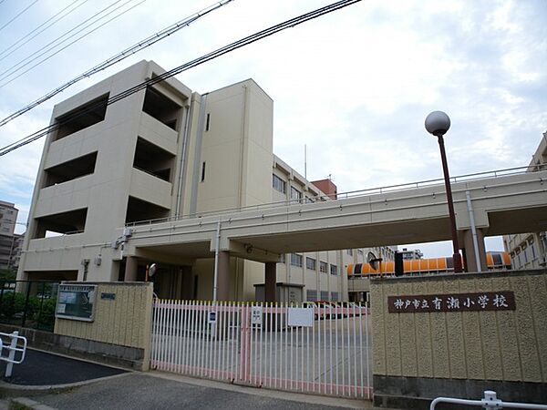 画像21:神戸市立有瀬小学校（1177m）