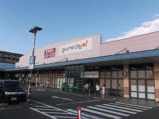 画像15:ザ・ダイソー グルメシティ小束山店（165m）
