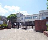 山階南小学校まで53m
