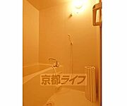 バスです。