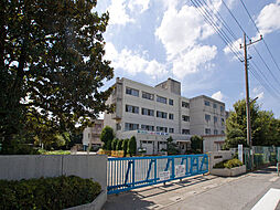 蓮田市川島